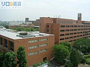 私立大阪学院大学 386m