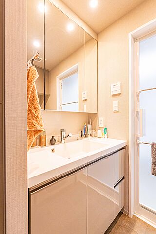 洗面 リビオレゾン新虎通り 10階/-