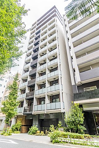 外観 リビオレゾン新虎通り 10階/-