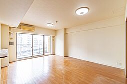 レイディアントシティ向ヶ丘遊園フランス街区 3LDKの写真