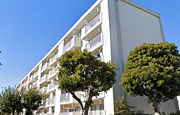 多摩川住宅　ハ-17号棟