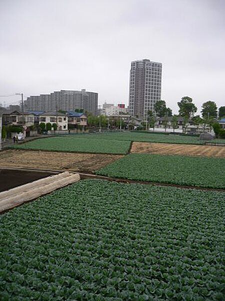 塚本コーポ 201｜東京都西東京市住吉町2丁目(賃貸アパート1DK・2階・24.61㎡)の写真 その5