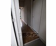 穏やかな木漏れ日～