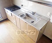 豪華なシステムキッチン