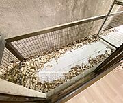 バルコニーです。
