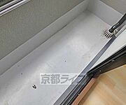 バルコニです。