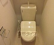 綺麗です