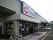 カワチ 360m