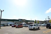 ビフレ東通店(400m)