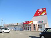 ツルハドラッグ秋田広面店(850m)