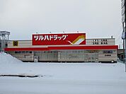 ツルハドラッグ五城目店(450m)