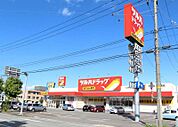 ツルハドラッグ秋田広面北店(400m)