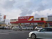 ツルハドラッグ天王西店(3、300m)