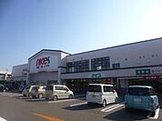 ナイス土崎店(1、500m)