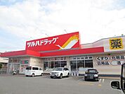 ツルハドラッグ川尻店(650m)