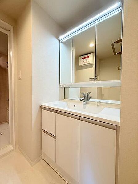 女性に嬉しい三面鏡のついた洗面化粧台。お化粧道具や洗剤のストックもしっかり収納出来ます○