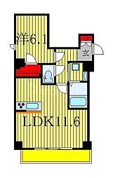 東武野田線 柏駅 徒歩11分 5階/-