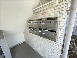 7 / 11