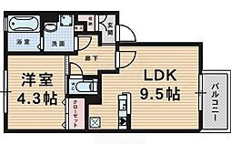 エクセレンテ 1階/-