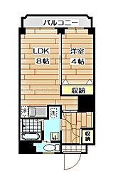 ライズ神水 1LDKの間取図画像