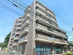 Ｃａｓａ　Ａｉｌｅ