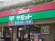 その他「サミットまで300m」