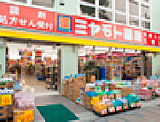 ミヤモトドラッグ小江戸川越店(ドラッグストア)まで767m