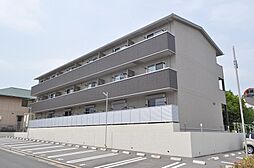 テレザート光台