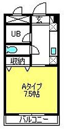 コート・アクシス