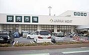 ジャパンミート卸売市場さいたま北店 403m