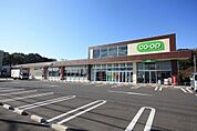 コープ大宮中川店 500m