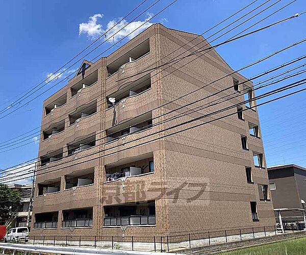 エクセルコートまはたぎ 107｜京都府京都市伏見区竹田藁屋町(賃貸マンション1K・1階・31.02㎡)の写真 その1