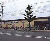 万代 嵯峨広沢店まで72m 丸太町通り沿いにございます 駐車場も広めです