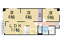 エルフィン井上 3LDKの間取図画像