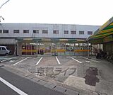 ベンリー山？まで210m