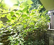 ・102号室からの眺望です
