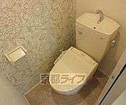 綺麗です