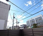 良い眺めです。
