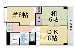 アリーバ 2階/203