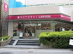 【コンビニエンスストア】ナチュラルローソン NL北大塚一丁目店まで275ｍ