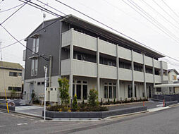 シーレックス Parque