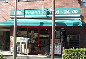 マストライフ南品川 220 ｜ 東京都品川区南品川４丁目16-1（賃貸マンション1K・2階・31.49㎡） その21