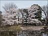 周辺：文庫の森（282m）