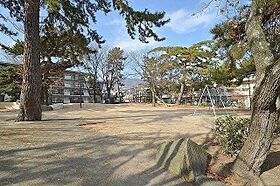 セレニテ甲子園2  ｜ 兵庫県西宮市甲子園高潮町（賃貸マンション1K・2階・23.80㎡） その28