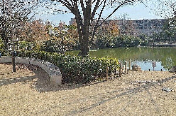 コンフォート甲子園 ｜兵庫県西宮市甲子園洲鳥町(賃貸マンション1K・2階・20.05㎡)の写真 その28