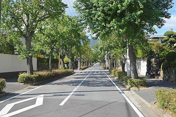 兵庫県芦屋市岩園町(賃貸マンション3LDK・1階・60.00㎡)の写真 その23