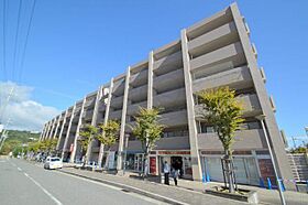 白鷹苦楽園マンション 535 ｜ 兵庫県西宮市樋之池町（賃貸マンション1LDK・5階・56.33㎡） その3