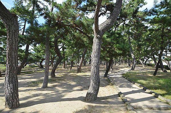 リビエール芦屋 ｜兵庫県芦屋市平田町(賃貸アパート2LDK・2階・60.00㎡)の写真 その6