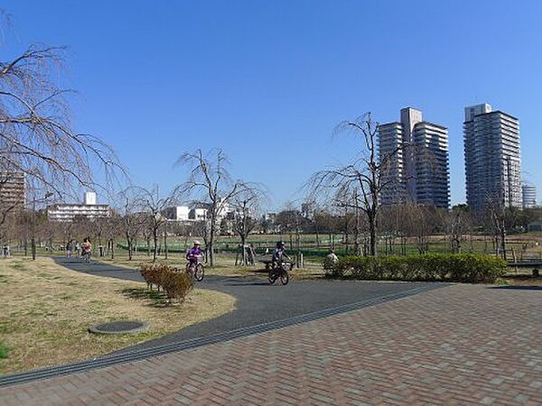 ドゥーエ町屋 ｜東京都荒川区町屋8丁目(賃貸マンション2LDK・8階・60.19㎡)の写真 その21