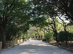【公園】飛鳥山公園まで739ｍ